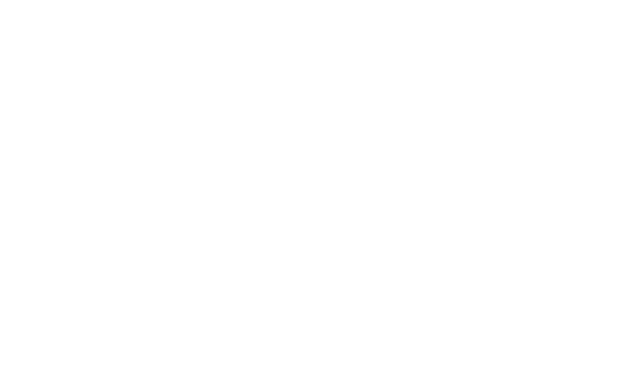 Vikingo.ai